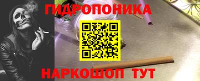 ECSTASY Канаш