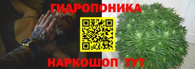 ECSTASY Канаш