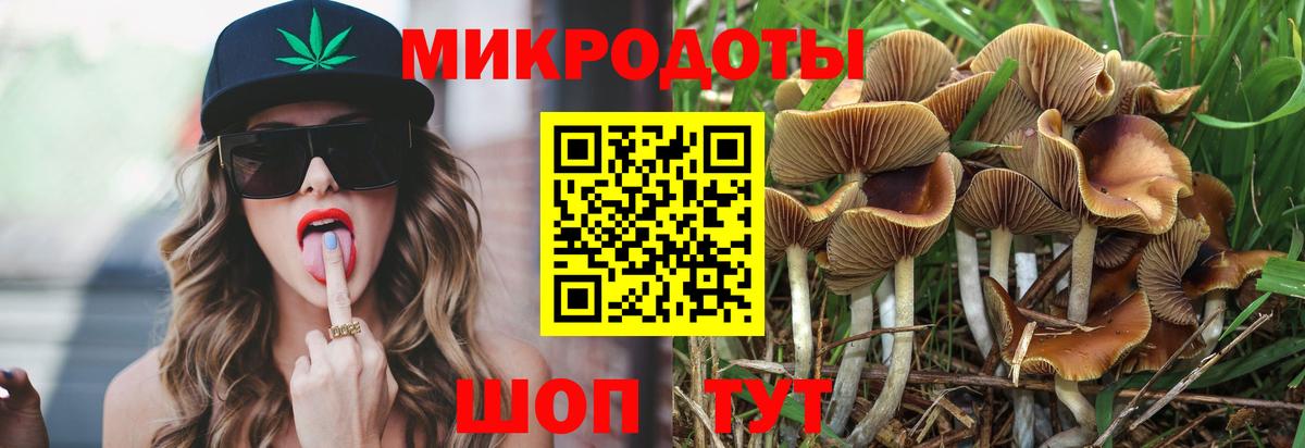 Галлюциногенные грибы мухоморы  Вход с VPN  Арсеньев 